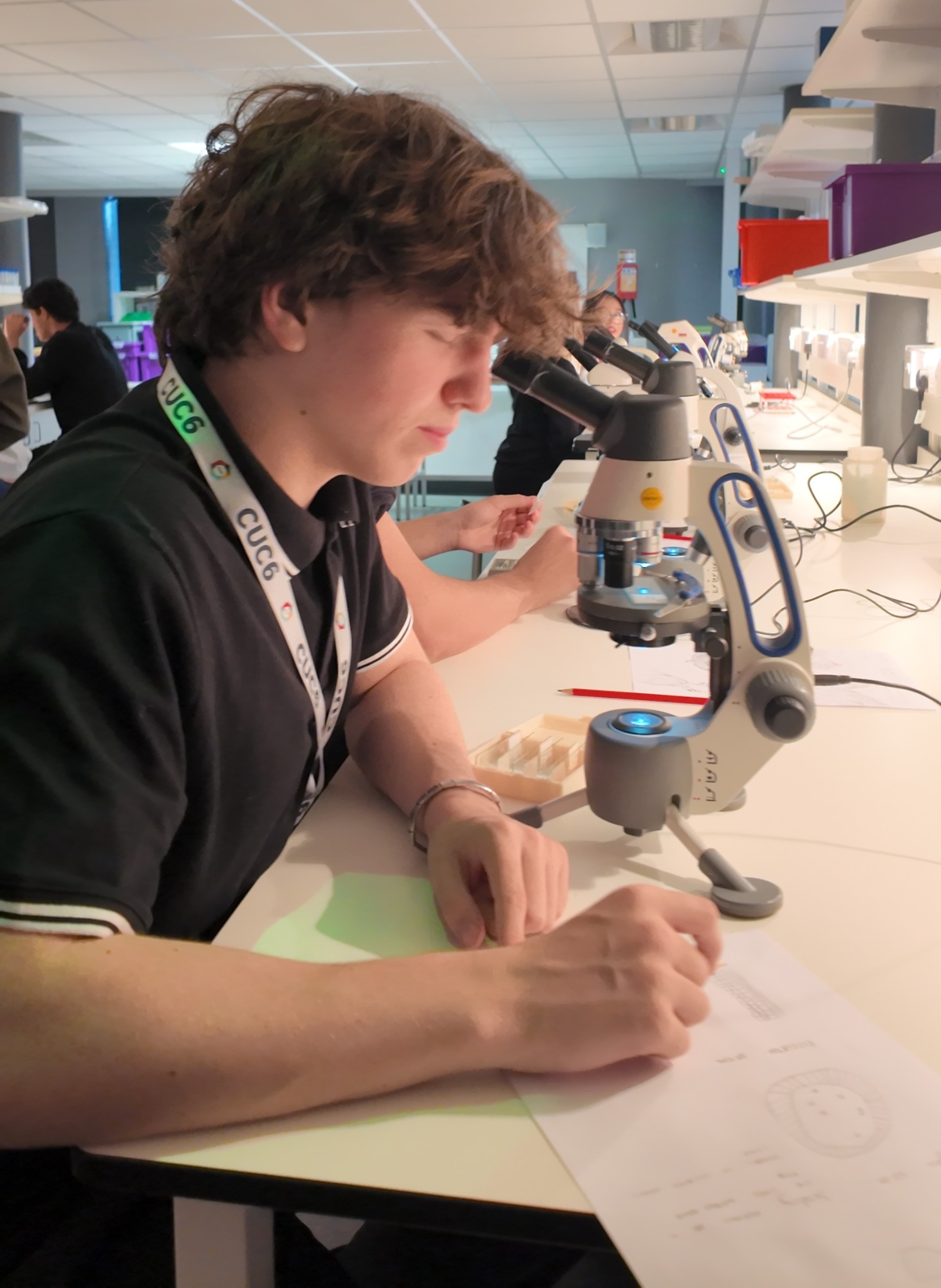 Image sixth form student using the microscopes gifted to us by Liverpool School of Tropical Medicine.