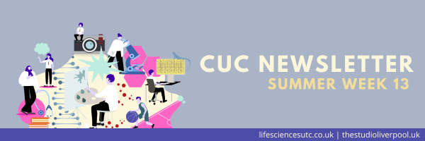 Header image of Liverpool Life Sciences UTC and The Studio School newsletter 